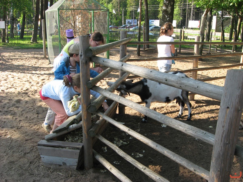 Лето 2009
